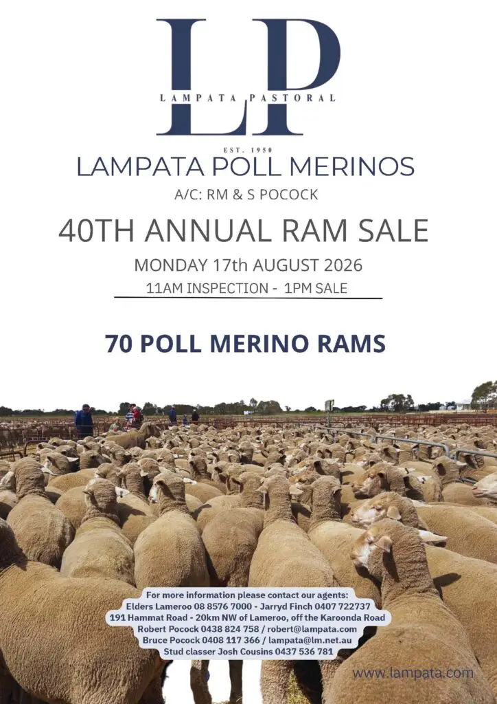 2026 Lampata 40th Annual Ram Sale - Catalogue